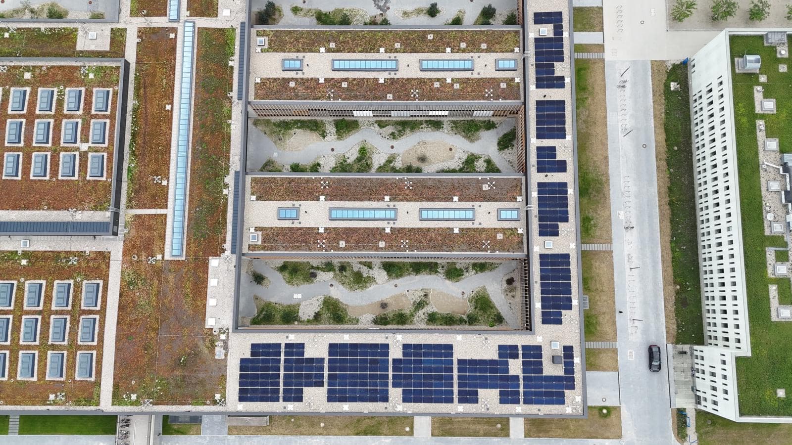 Freiland- und Agrar-Photovoltaikanlage von Profisolar Bau